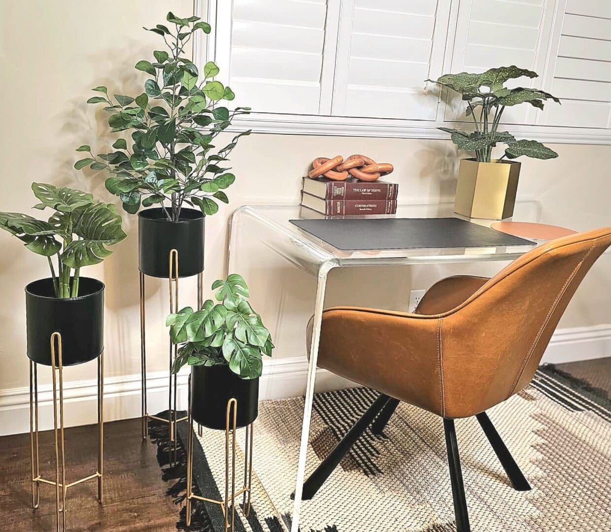 A table with chairs and plants in pots