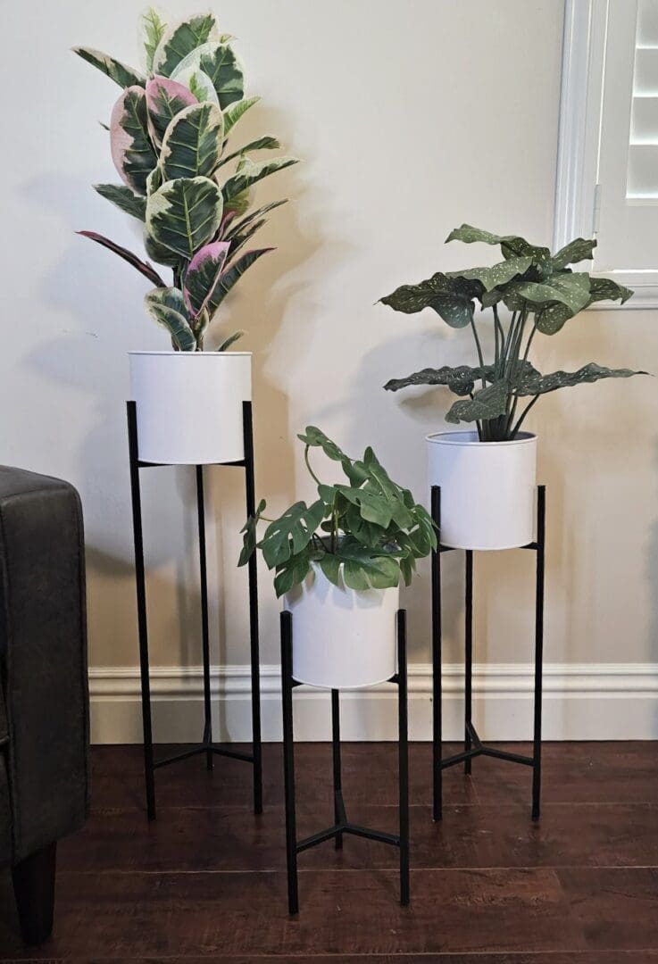 Three plant stands with plants in them on a floor.