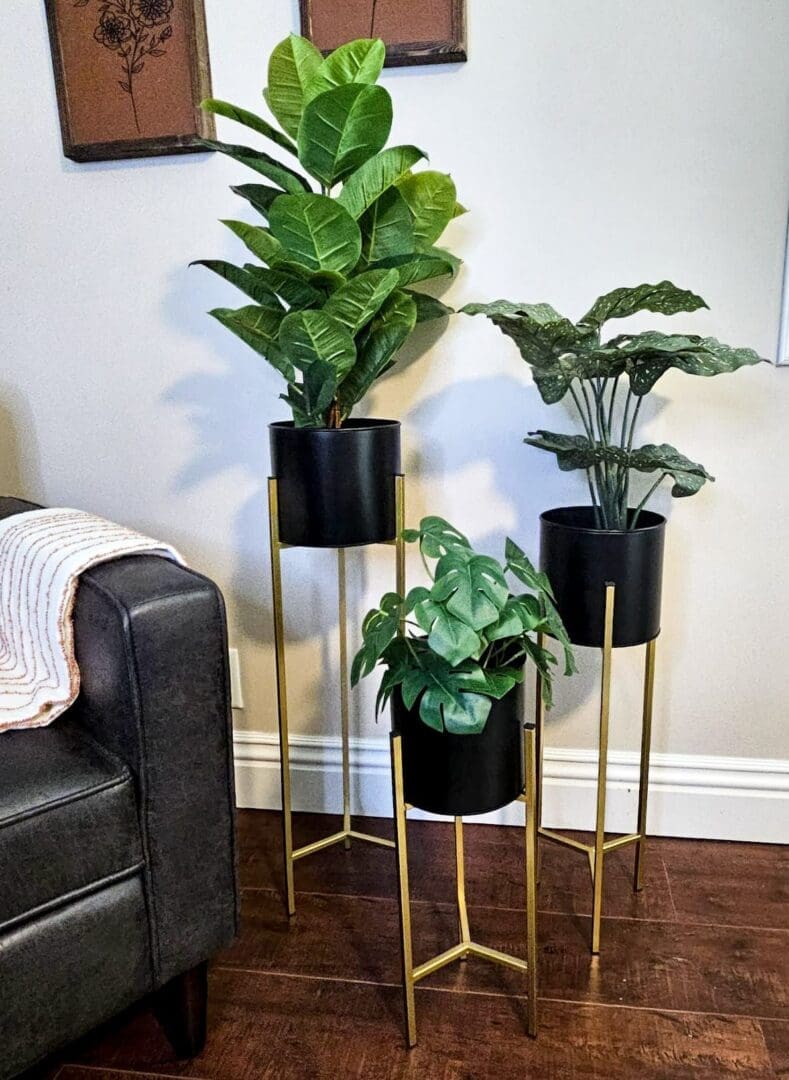 Three black and gold plant stands on a wooden floor.