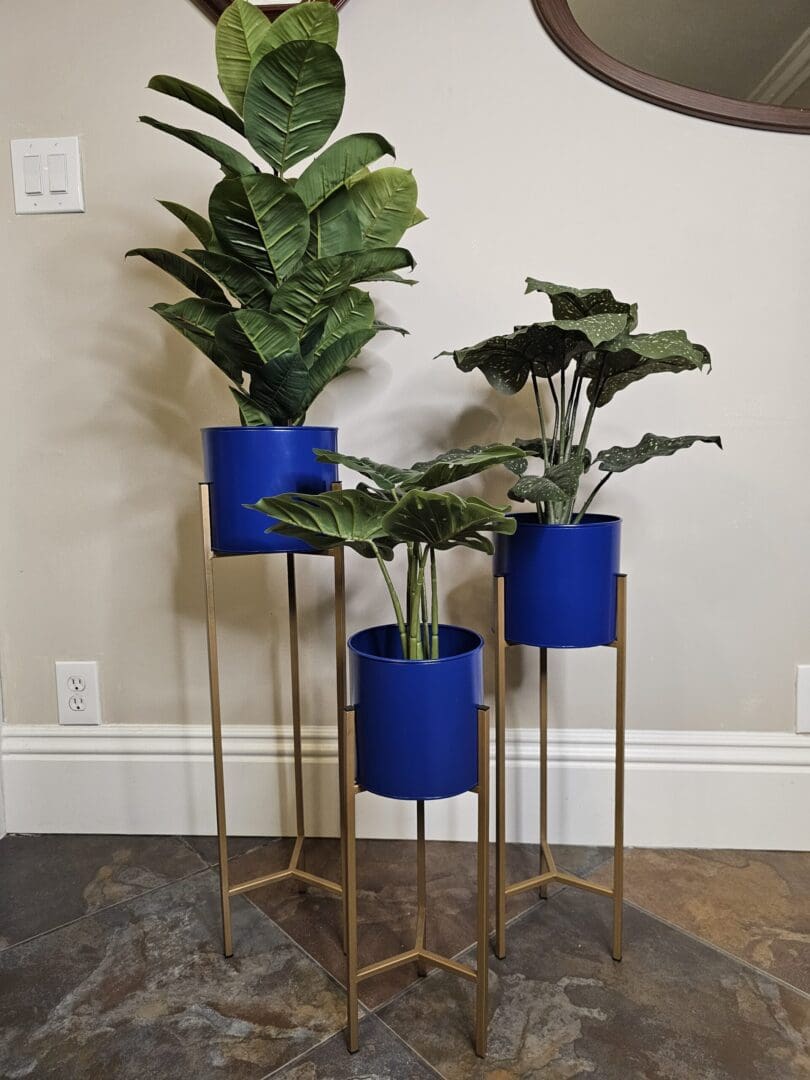 Three blue planters on stands in a room.