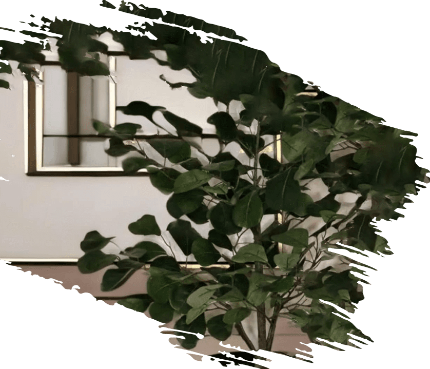 A tree in front of a window with a blurry background.